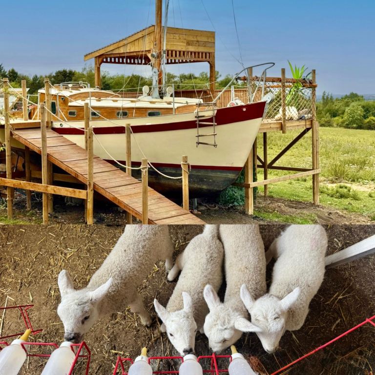 Boat stay & Lamb Feeding / Walking - UK Airbnb holiday let 