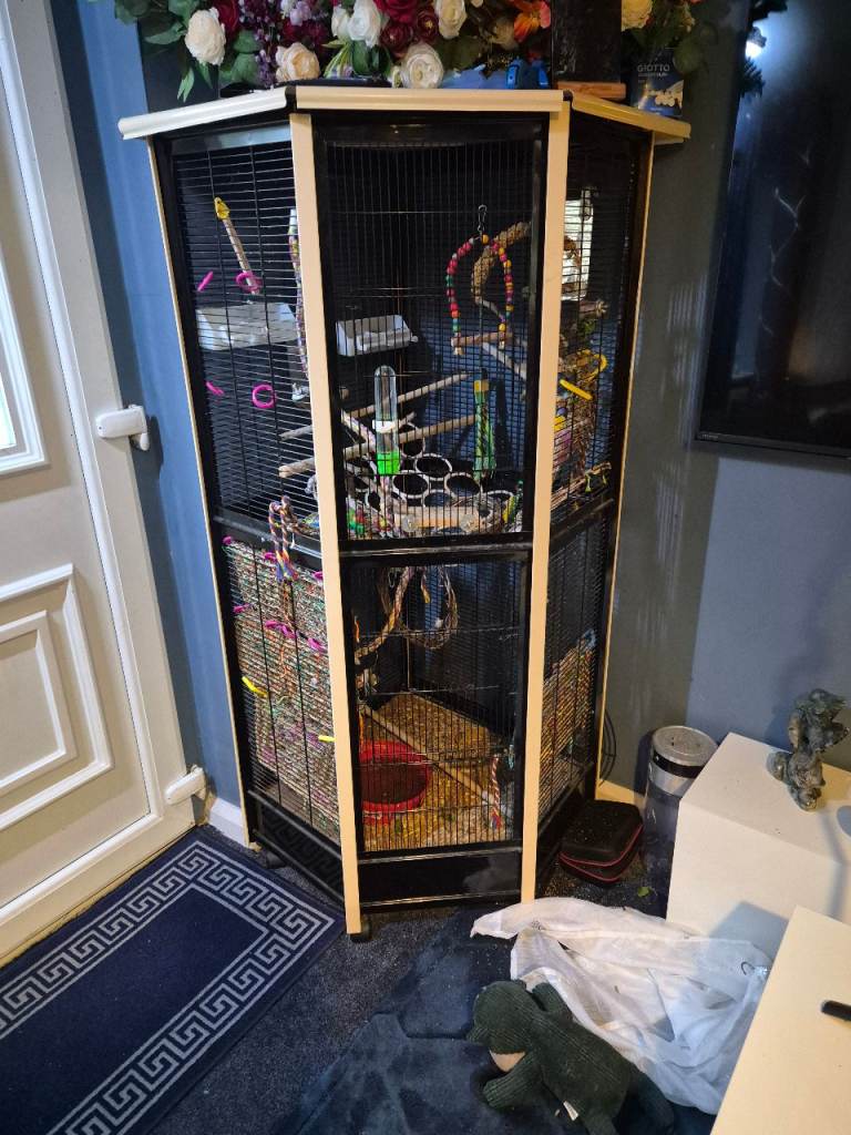 Large bird cage