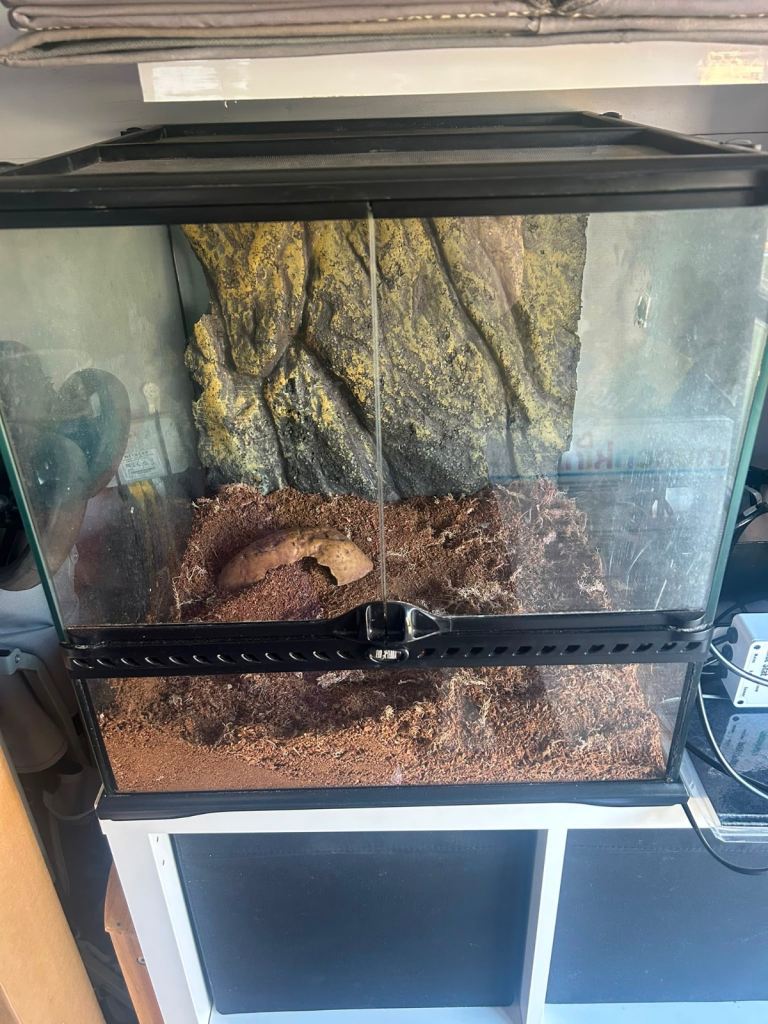 Exo Terra Terrarium / Vivarium Kit - 45x45x45