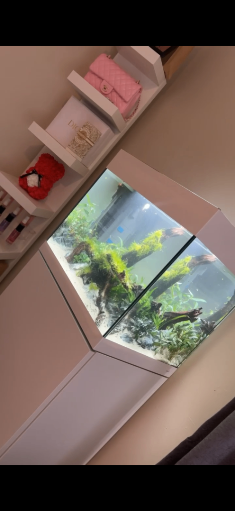 Aquarium Fish Tank EVERYTHING INCLUDED