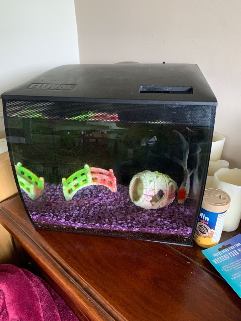 PENDING Fish Tank - Fluval flex curved glass aquarium 