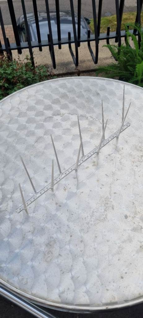 Pigeon Spikes