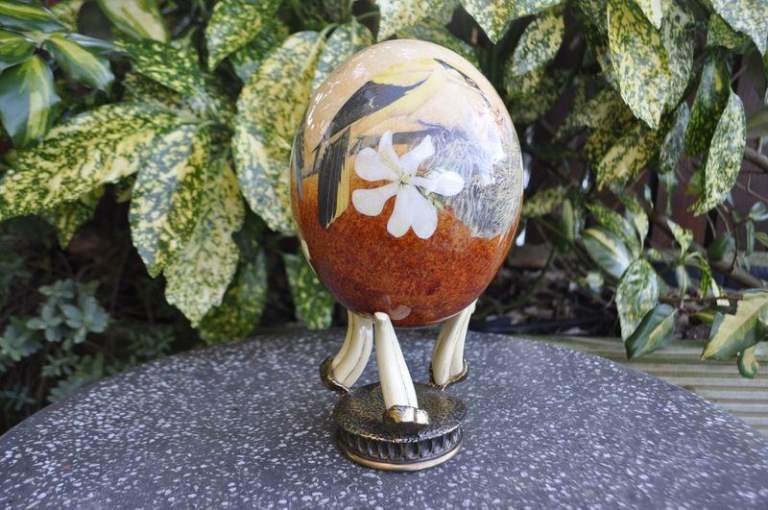 image for Ostrich Egg
