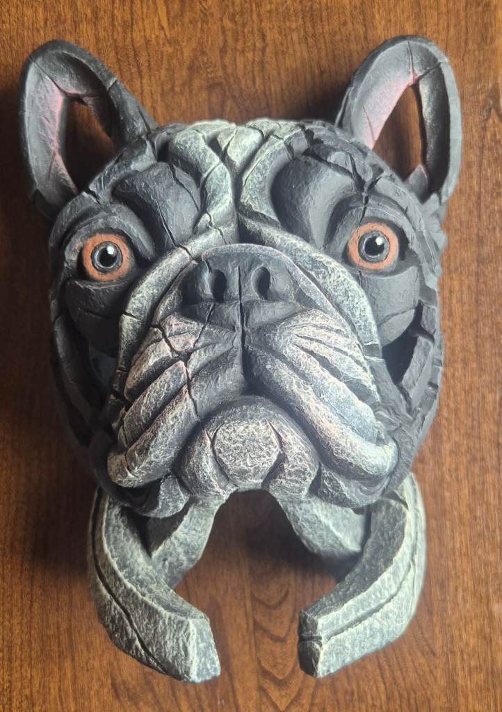 French bulldog bust Pied