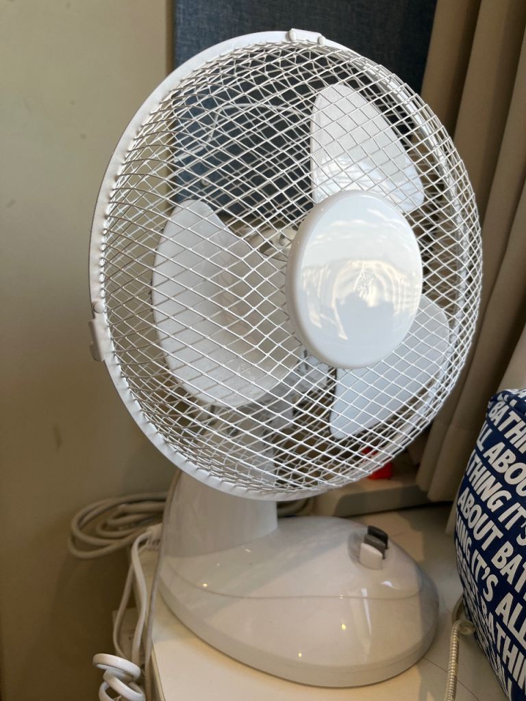 Electric fan