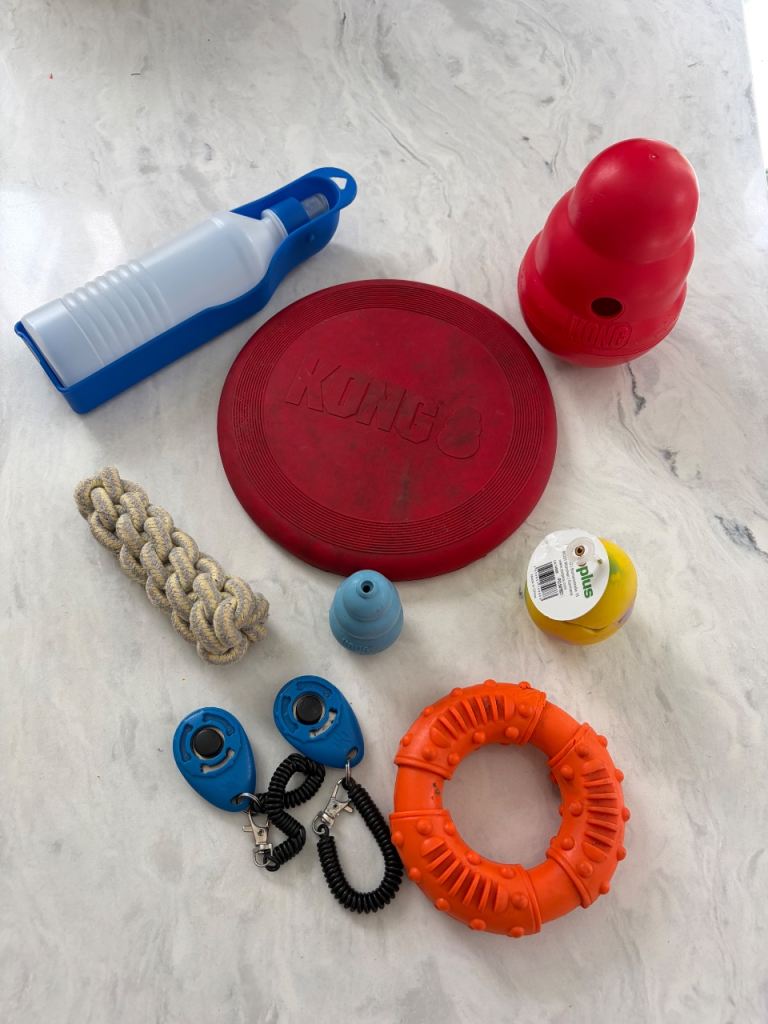 Kong Dog Toys and Accessories