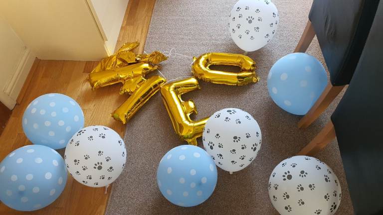 Cat Birthday Decorations