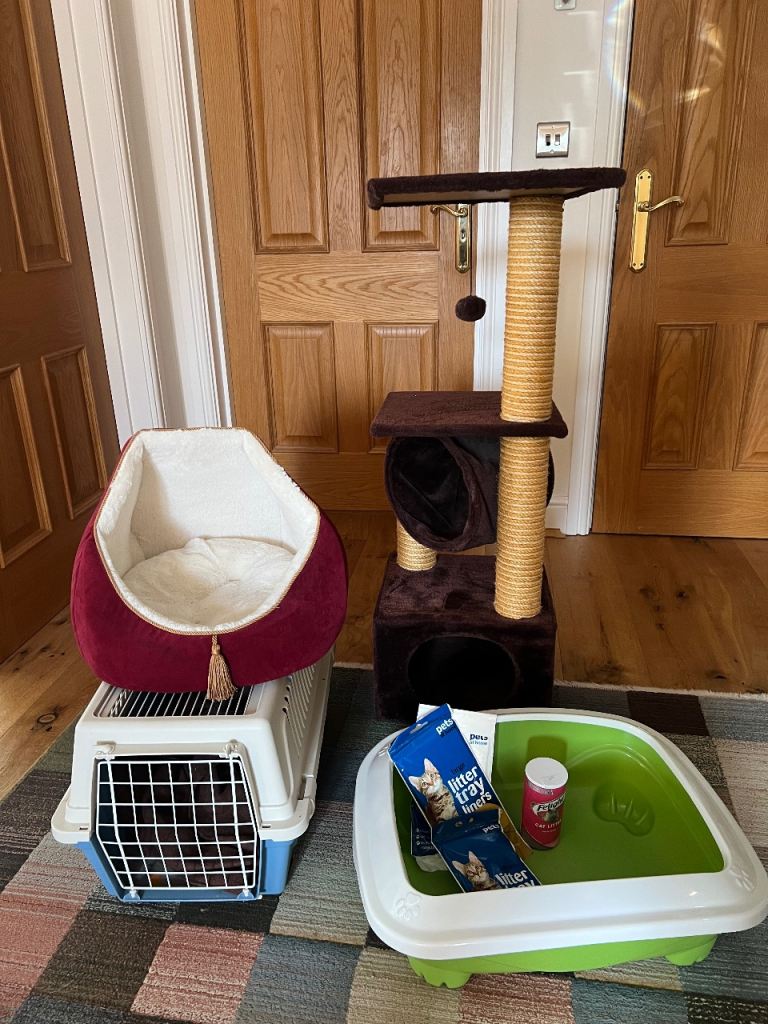 Cat tower, bed, travel crate and litter box