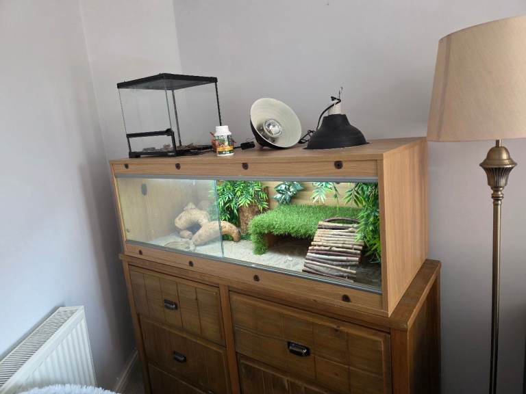 4ft vivarium