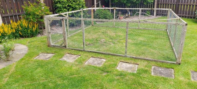 Chicken run