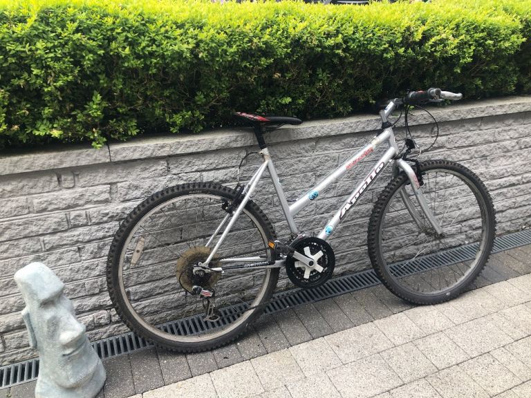 Cheap mountain bike in good working order 