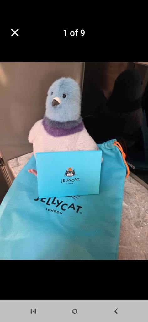 Jellycat  strutton pigeon  with perks postcards