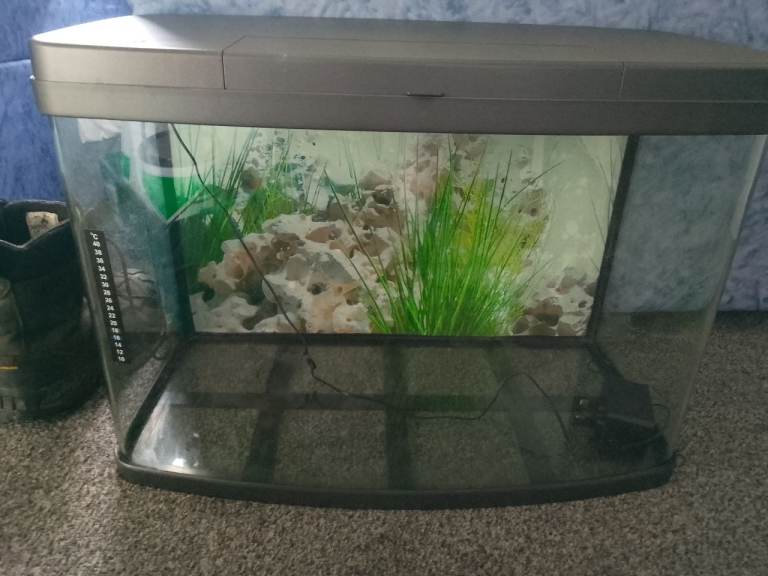 60 Ltr tank with lights. Excellent condition 