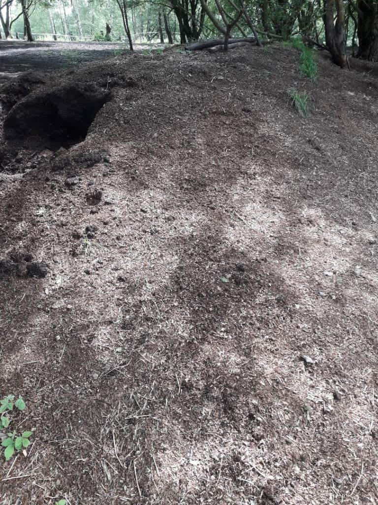 image for Horse Manure.