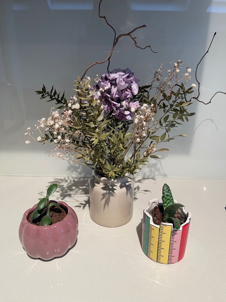 image for 2 succulent plants in pots and a glazed pot with dried flowers. £15 for all. Fulham