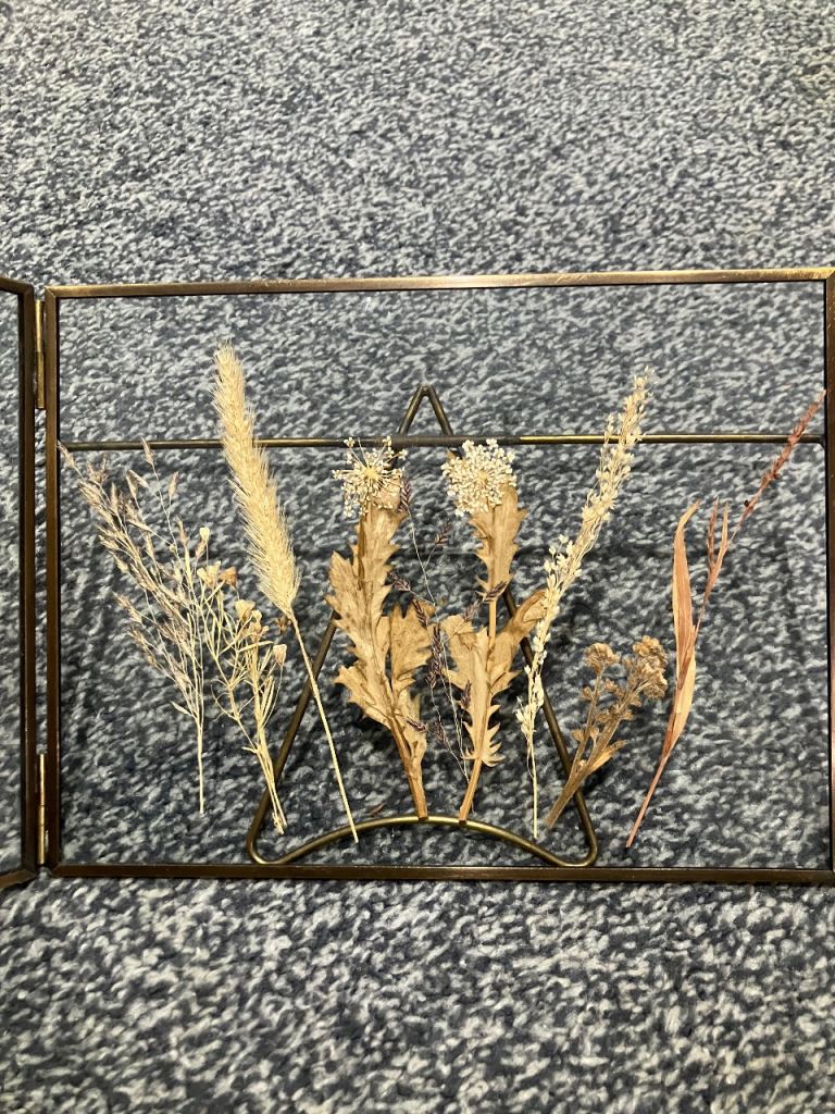 Italian vintage glass framed pressed grass