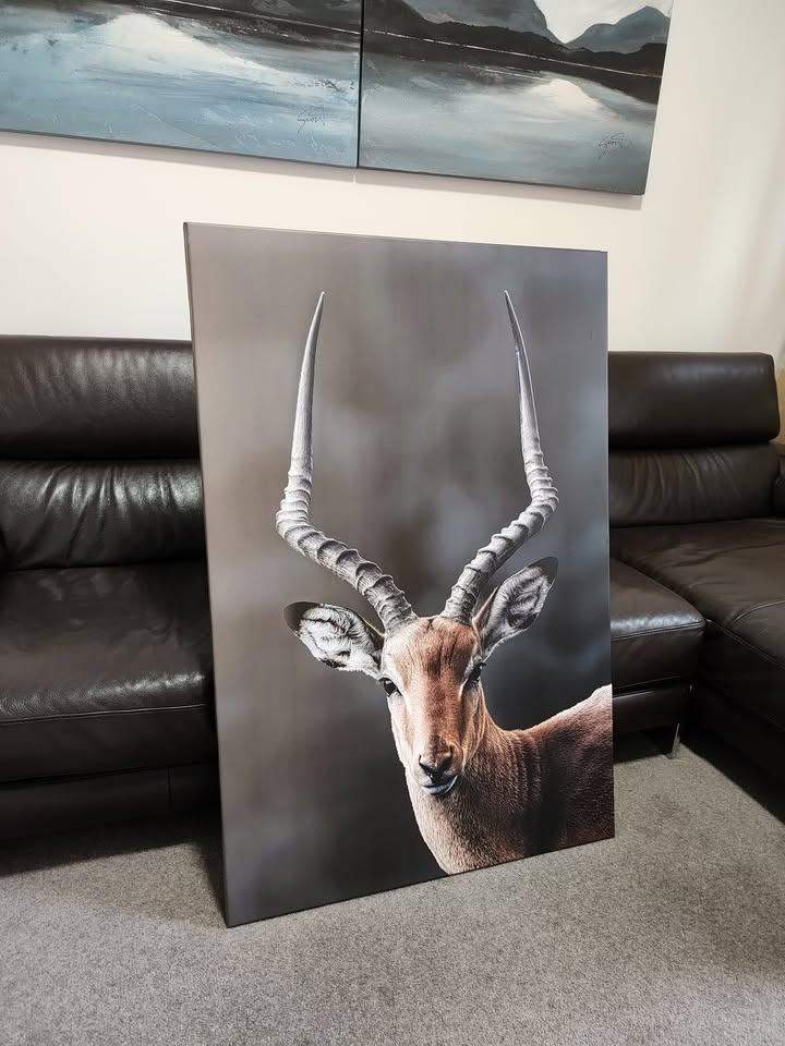 Impala (Kenyan deer) print on canvas (80x120 cm)
