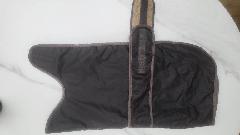 Wainwright Waterproof Dog Coat