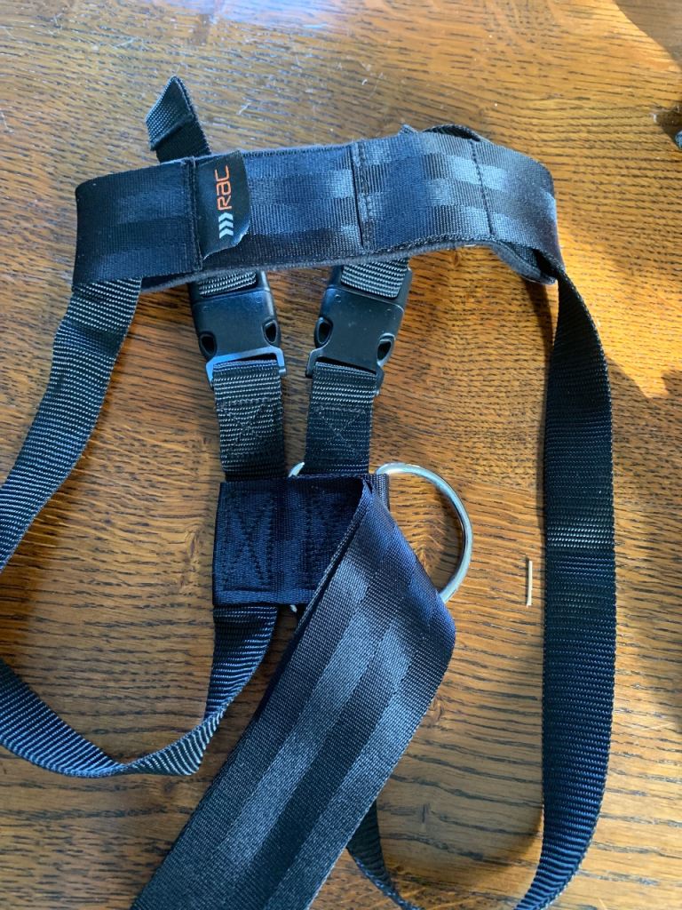 RAC dog car harness 