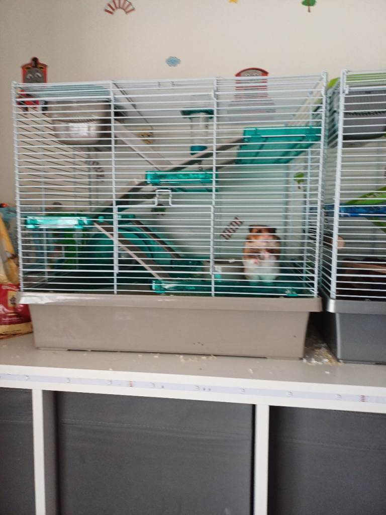 Hamster cage and everything in it