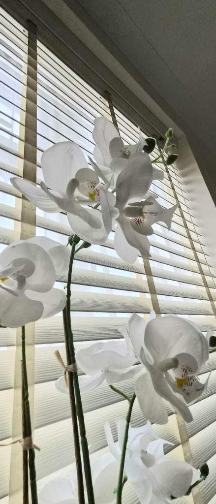 Silver/White Artificial Real Touch Orchid in Geo Pot