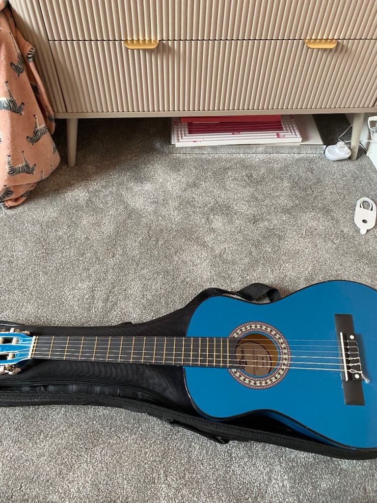Ideal first guitar
