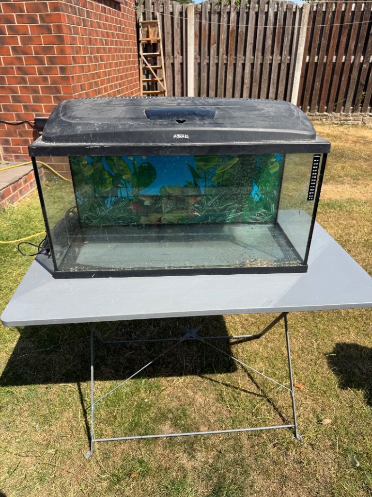 Large Fish Tank Aquarium with Lid and Light 