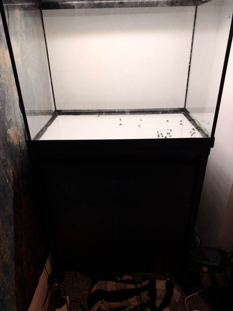 90L fish tank, with accessories 