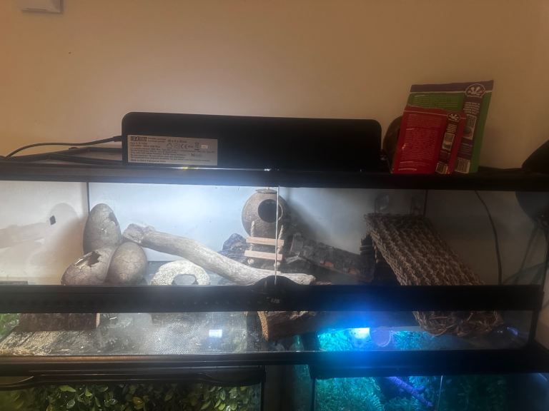 Exo terra vivarium 