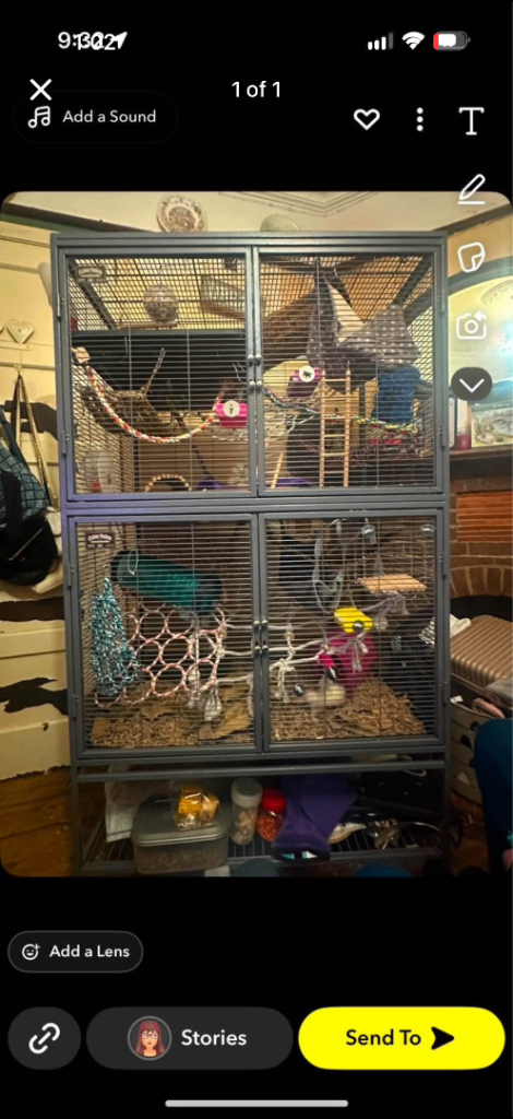 image for critter nation cage 