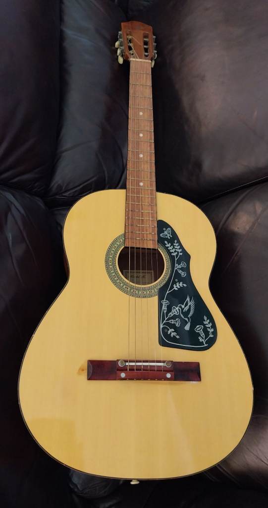 Acoustic Guitar with Unique Back Design, Case & Accessories