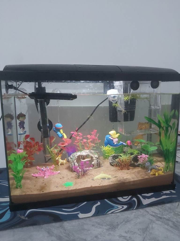 [Price Lowered] Full Aquarium Setup + Equipments 