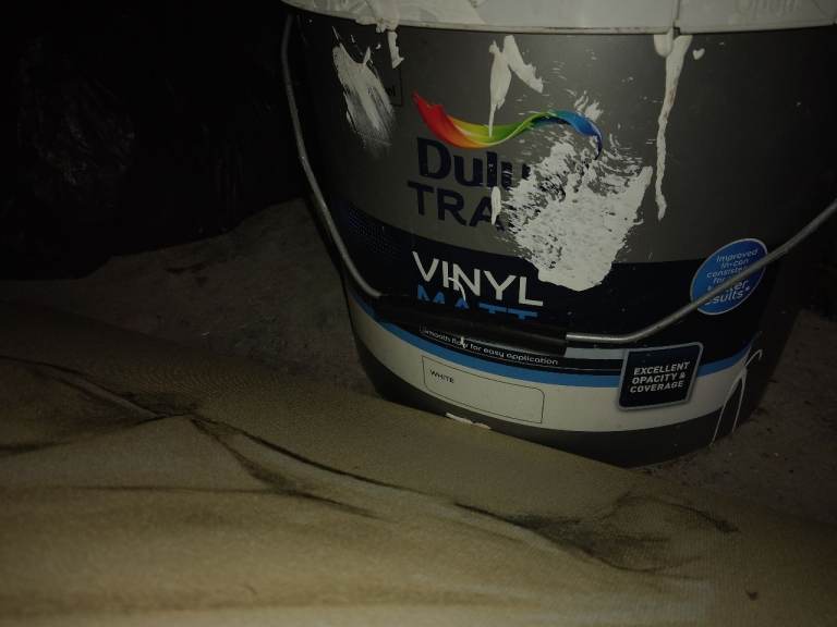 Paint matt white