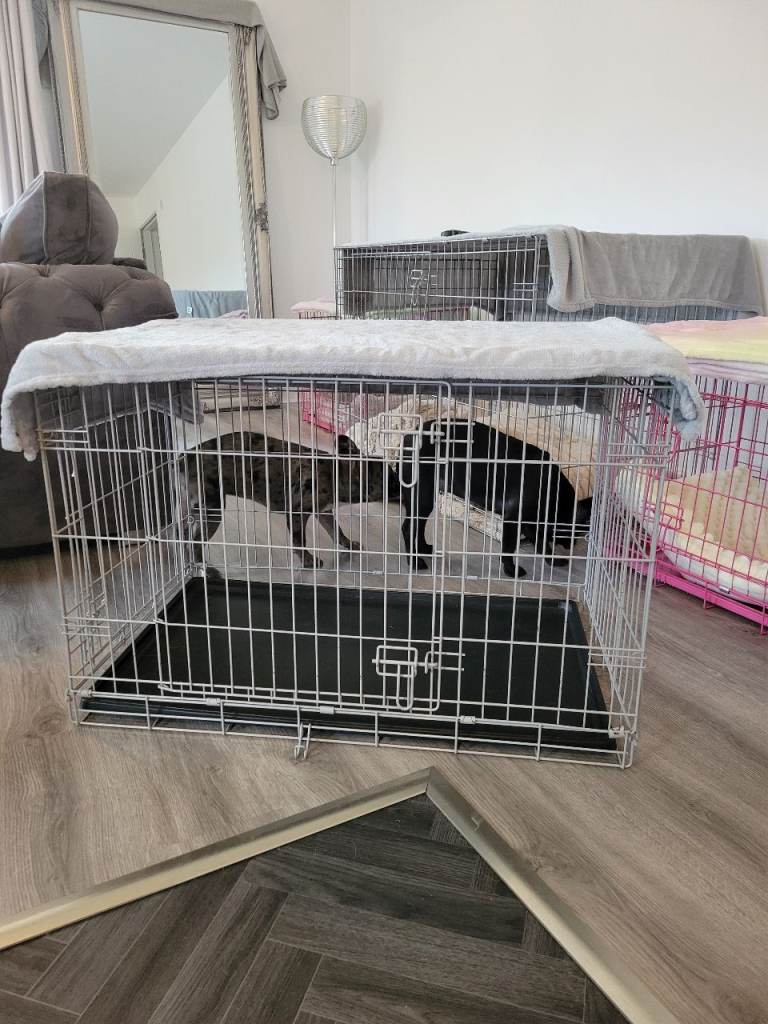 Dog crate