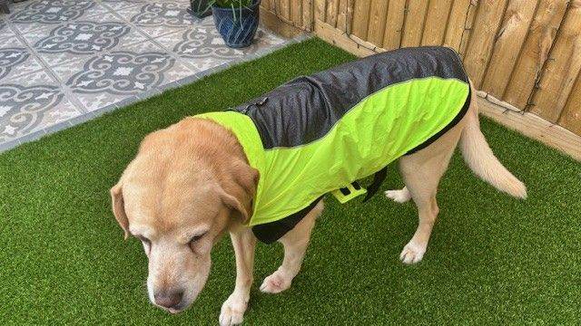 3 Peaks 3 in 1 Reflective Dog Coat & Fleece Jacket (Size L)