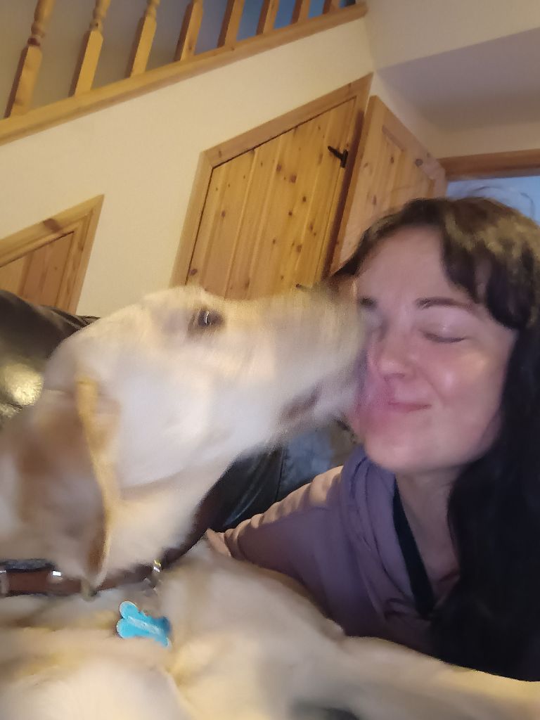 Experienced animal loving pet sitter and dog walker 🐾