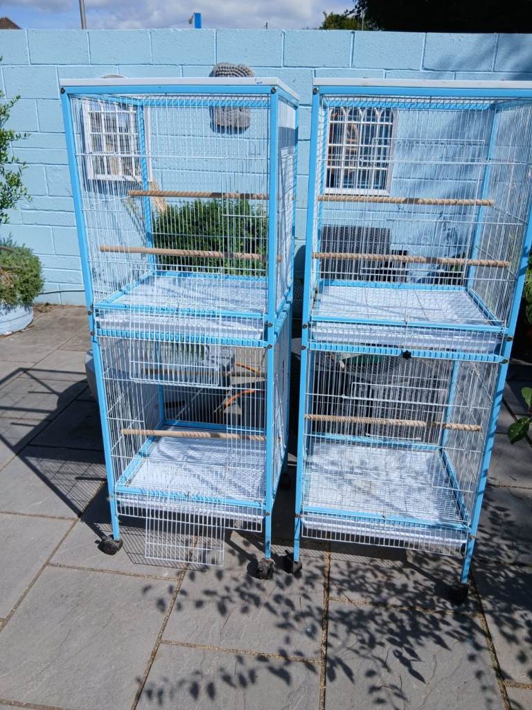 2 bird cages 