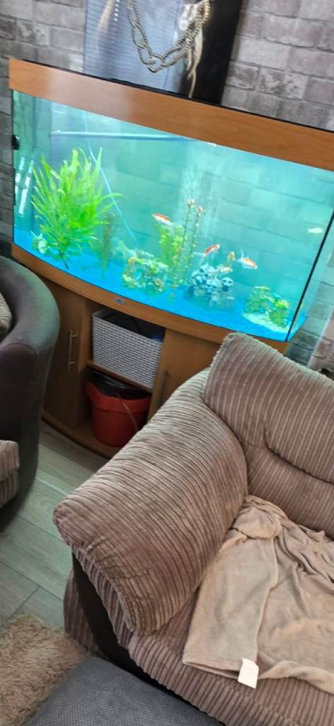 Jewel 4ft fish tank and stand