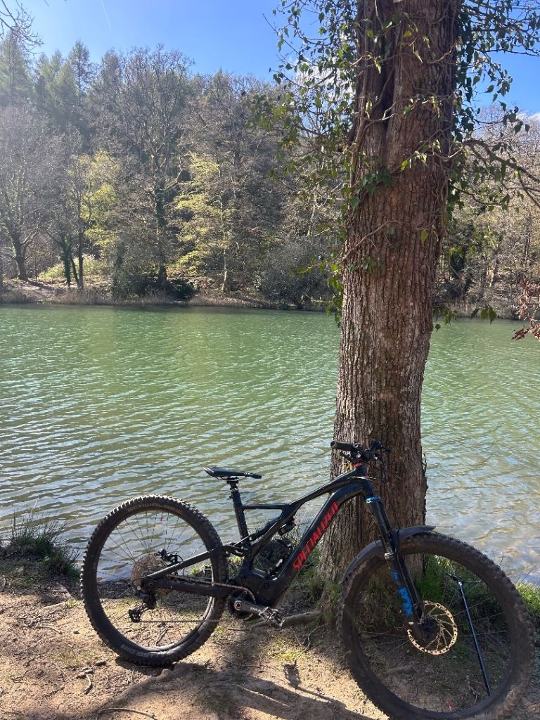 Specialized Turbo Levo Comp 2020