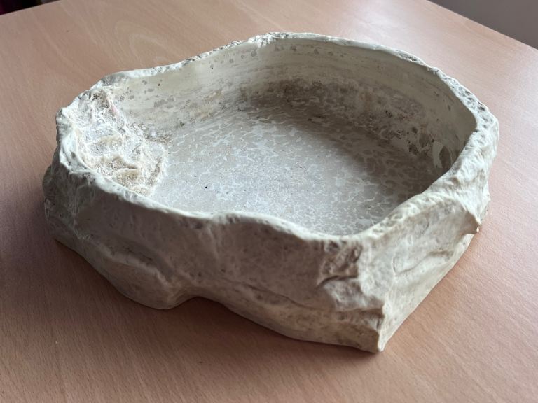 Reptile water dish / drink bowl - Free!