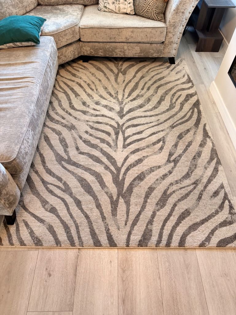 Easy Living Nova Zebra Grey Rug 160x230cm
