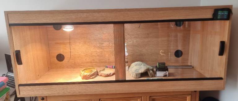 5x2x2ft vivarium
