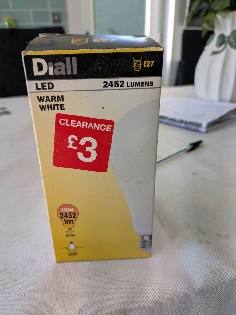 Large light bulb 
