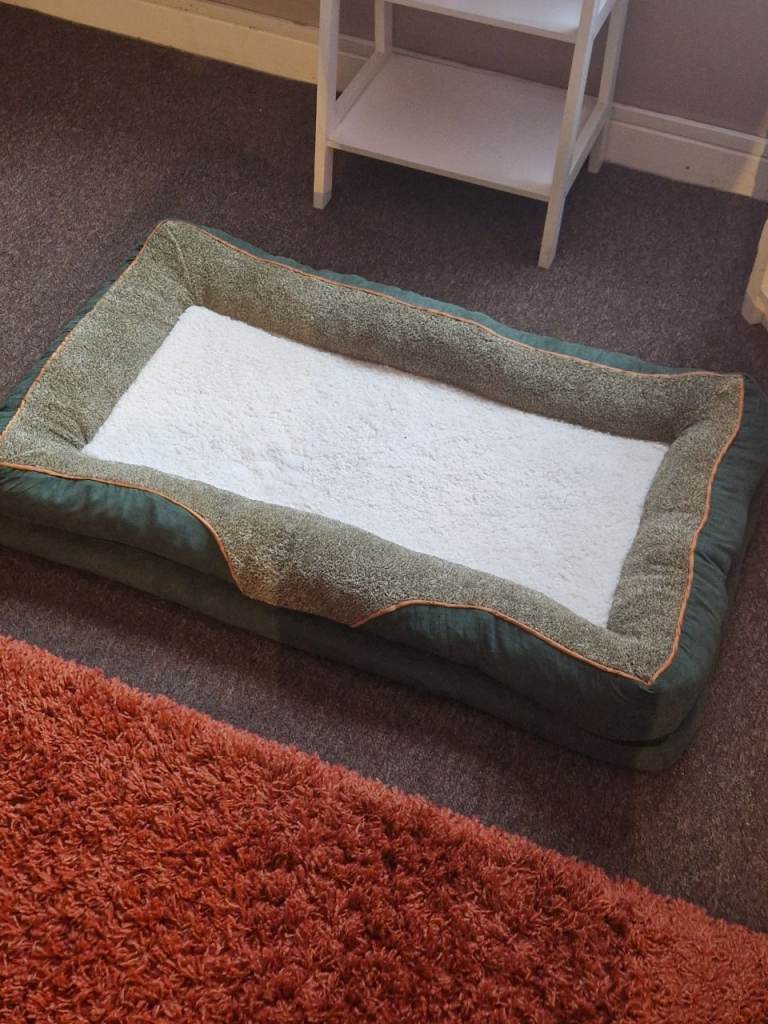 New Dog Bed 