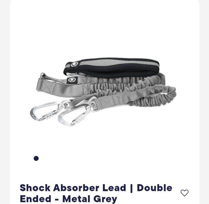 Double ended bungee lead 
