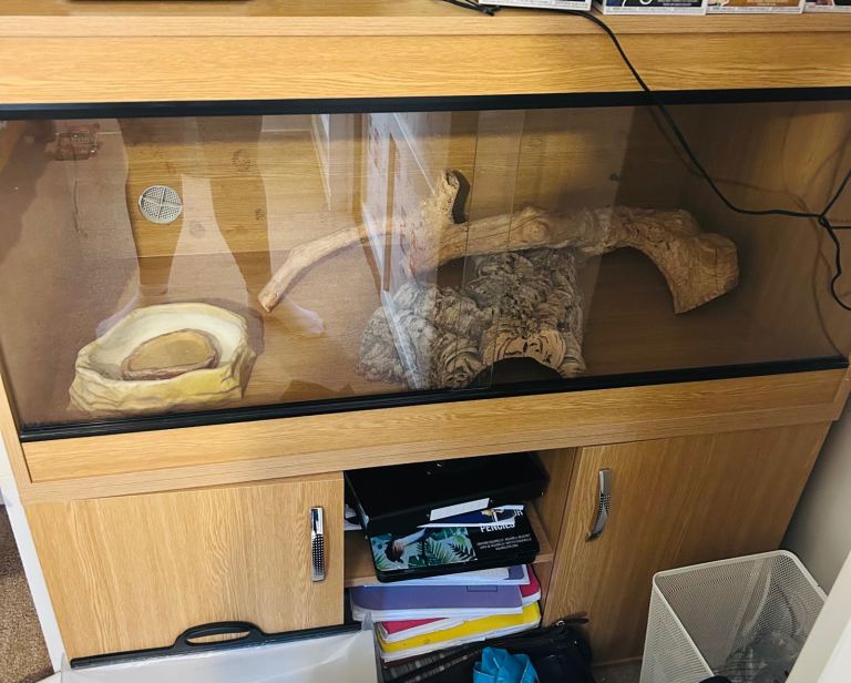 Vivarium 4ft x 4ft