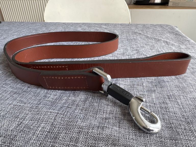 New leather dog lead