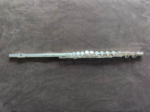 Trevor James TJ10x II flute with case, cleaning rod & cloth