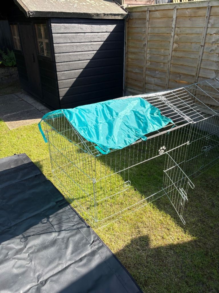 Small animal run 🐇 