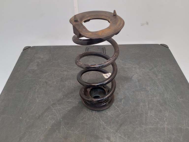 Tesla Model 3 Rear Coil Spring 2017-2023